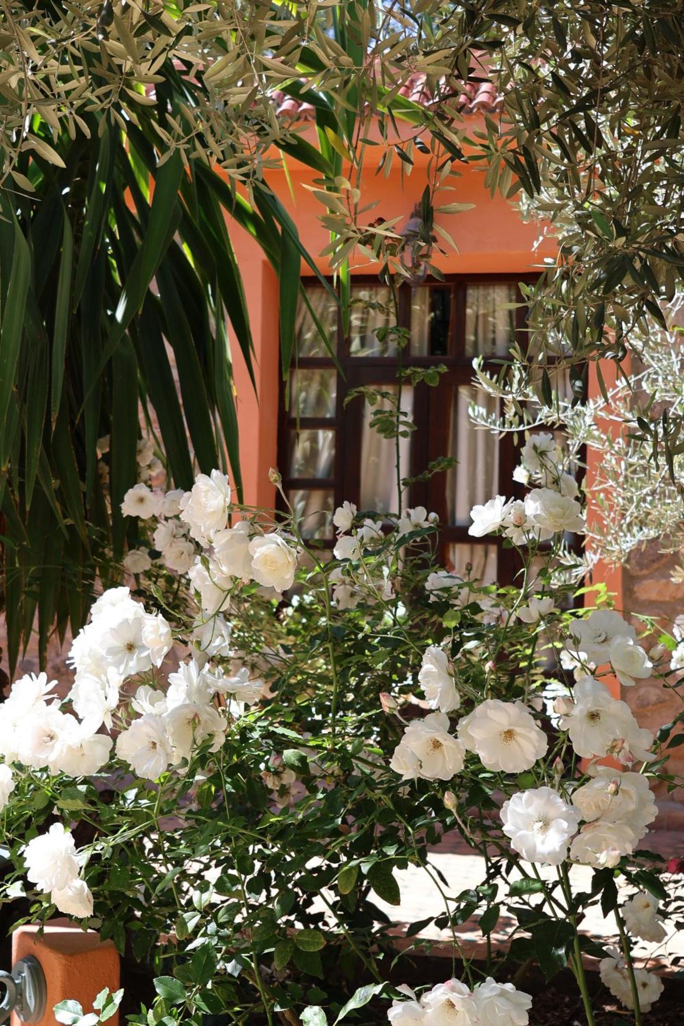 Domaine De La Roseraie Resort Ouirgane Eksteriør bilde
