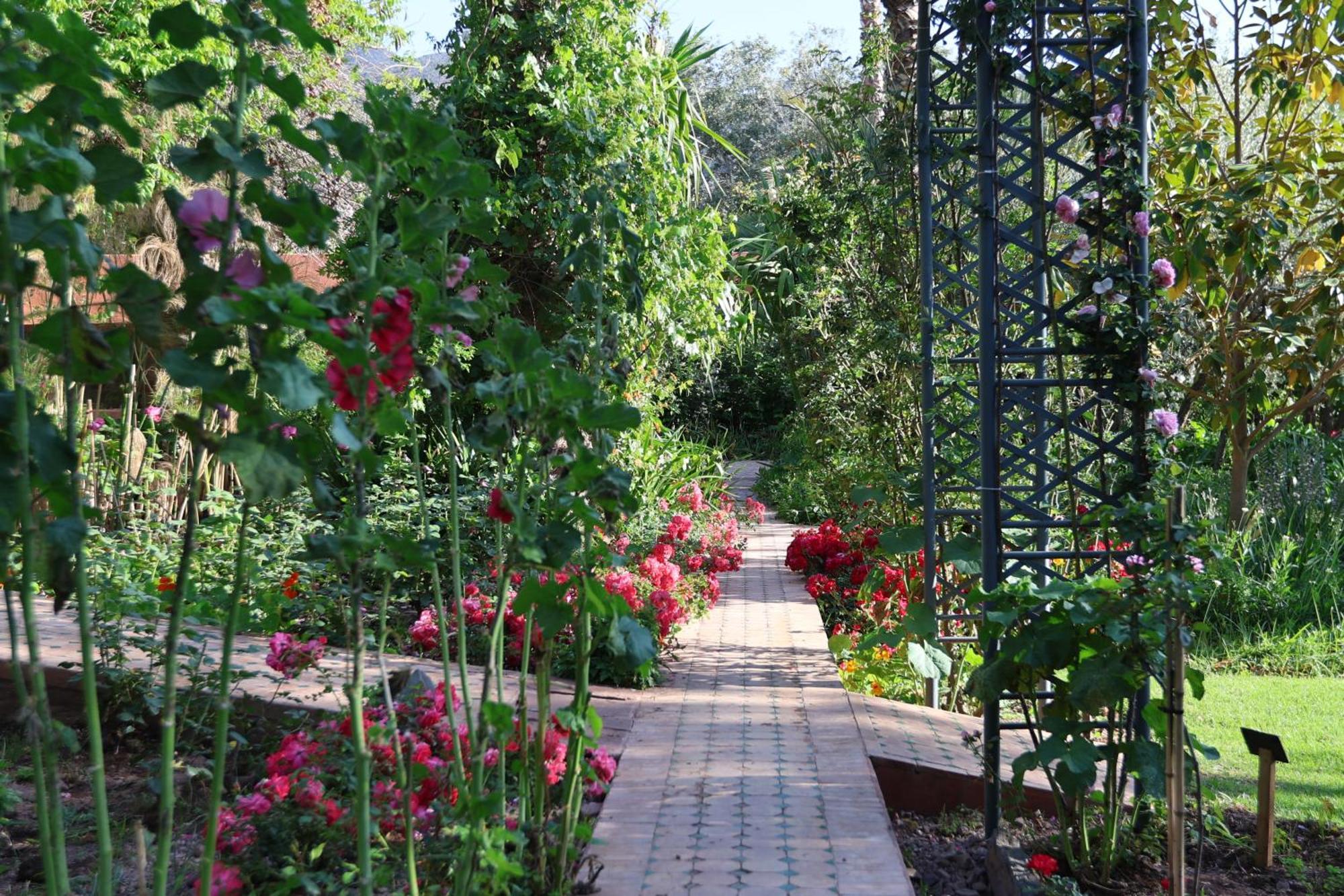 Domaine De La Roseraie Resort Ouirgane Eksteriør bilde