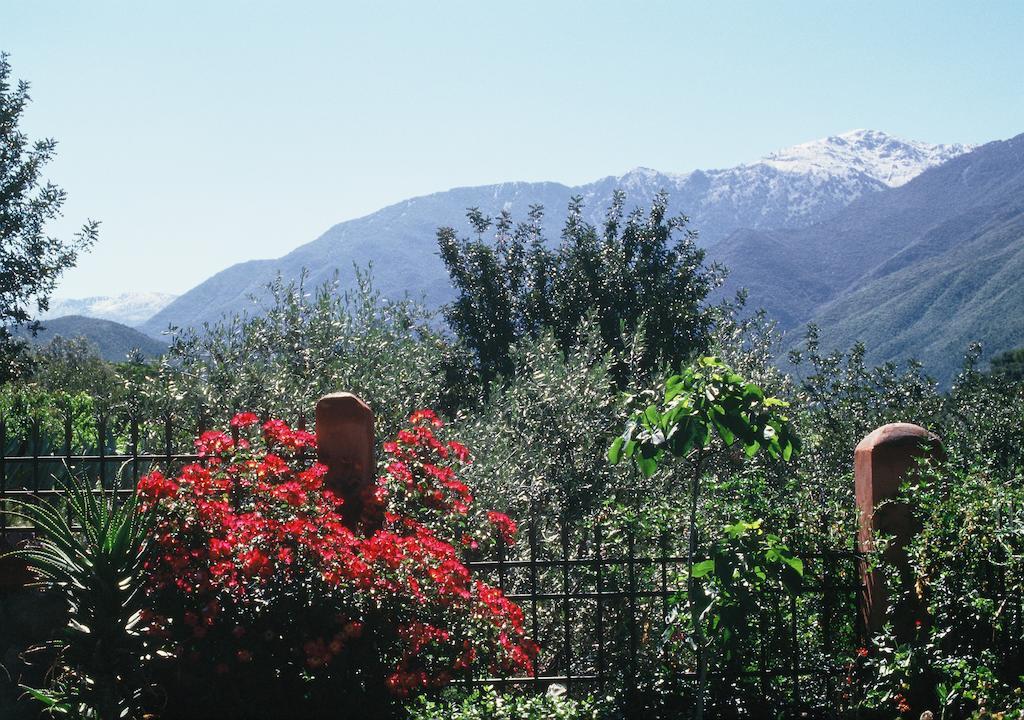 Domaine De La Roseraie Resort Ouirgane Eksteriør bilde